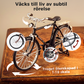 🌲 DIY cykelmodellskala