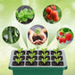 💎 💎 Groningsbrickor med odlingsljus – Fuktighetskontroll, transparent och fullspektrumljus 🌱💡
