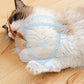 🐱 TIDSBEGRÄNSAT ERBJUDANDE: 50 % RABATT! 🪀 Interaktiv kattboll – studsande, med fjädrar, batterifri, säker ✨