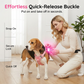 🐕🦺 Justerbar vadderad hundsele (med koppel) – Bekväm och rymningssäker – Betala vid leverans ✨✅
