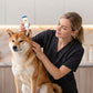 🐶50% RABATT NU! 🧴 Skonsam Husdjursöronrengöring – Lindrar Klåda & Tar Bort Vax och Dålig Lukt – Perfekt för Hundar & Katter 🐱