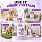 🥳HOT SALE🥳💞10K+ SÅLDA! Potty Training Spray! Vägleder husdjur, säker & enkel spray. Renare hem – skaffa din! ✅