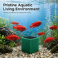 🐠 50% RABATT NU! ✨ Filterkub med aktivt kol för akvarium – kristallklart vatten, luktfri rening & flerskiktsskydd – perfekt för känsliga fiskar och växter 💧